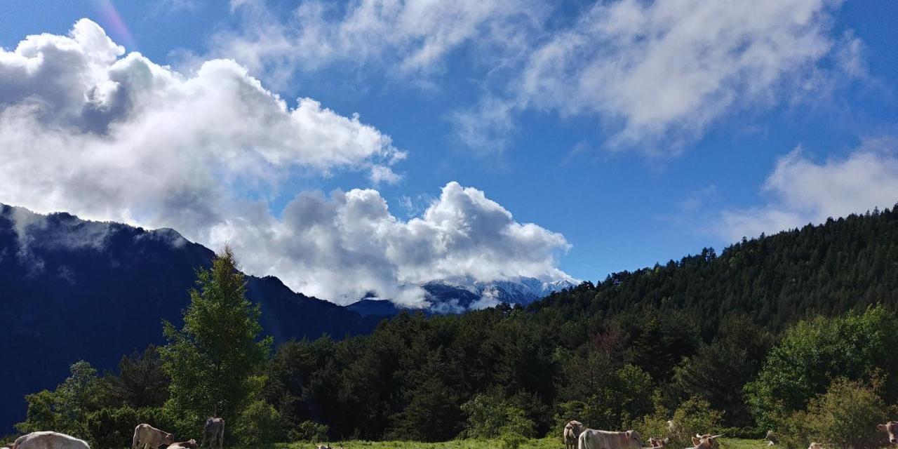 Areu Bordes Pirineu, Costuix酒店 外观 照片